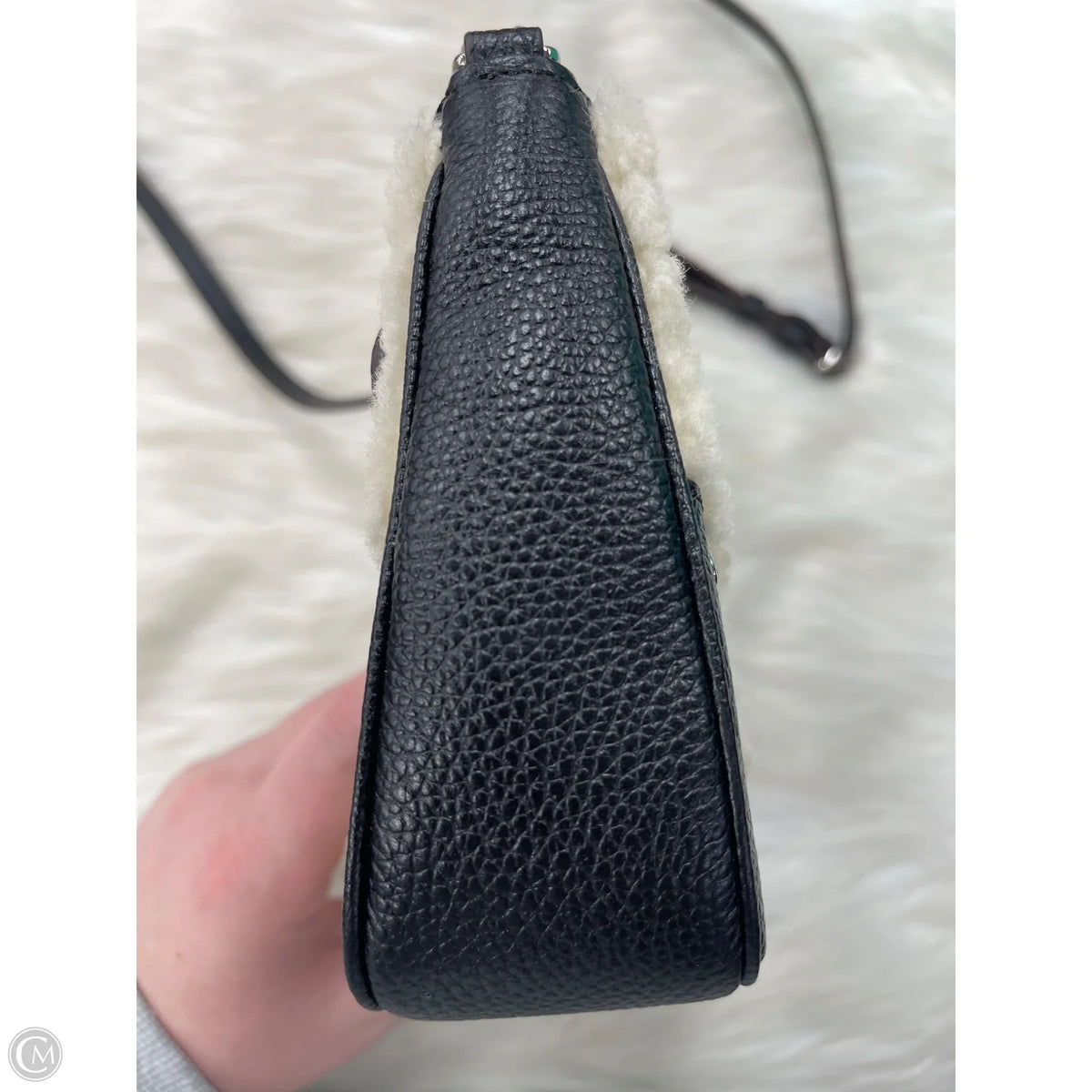Crossbody Designer By Coach, Size: Small