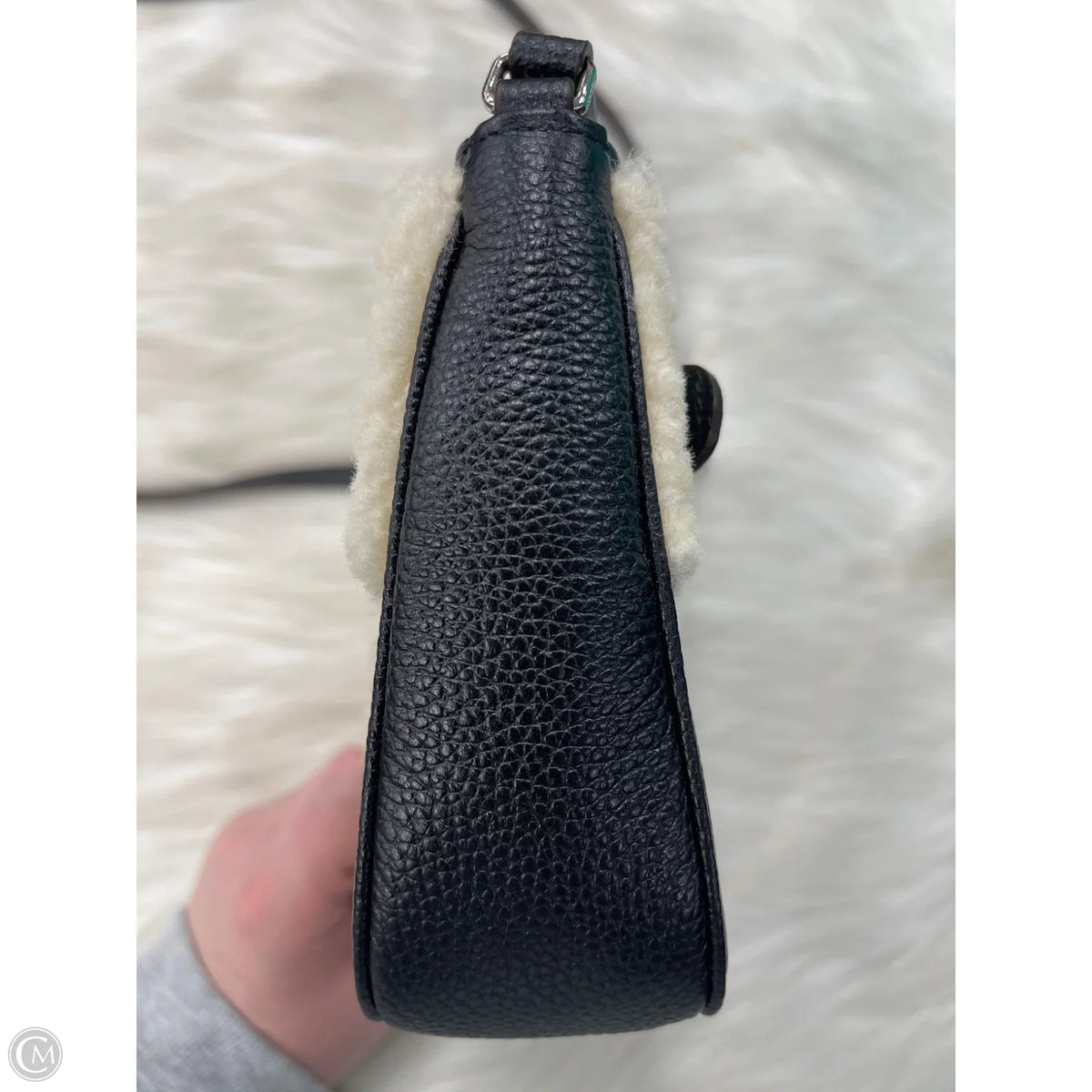 Crossbody Designer By Coach, Size: Small