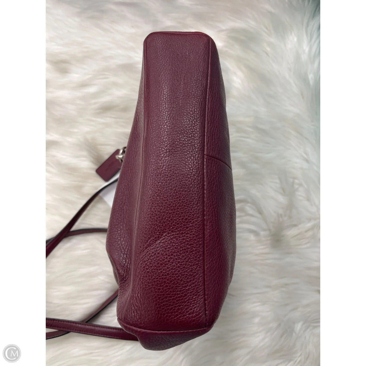 Crossbody Designer By Coach, Size: Small