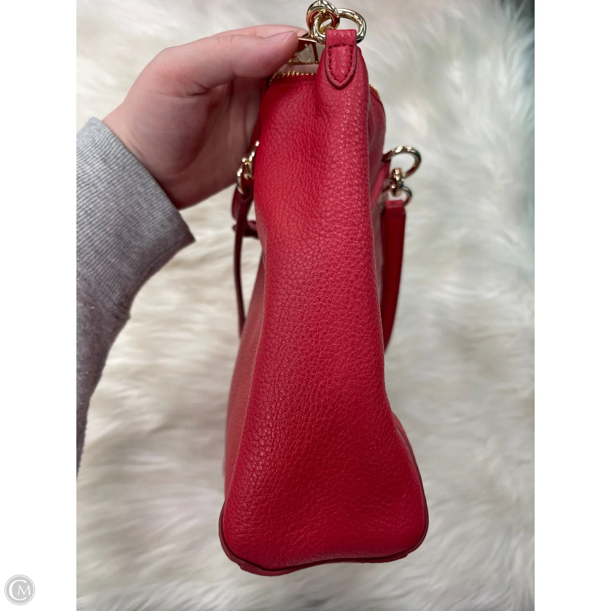 Crossbody Designer By Coach, Size: Small