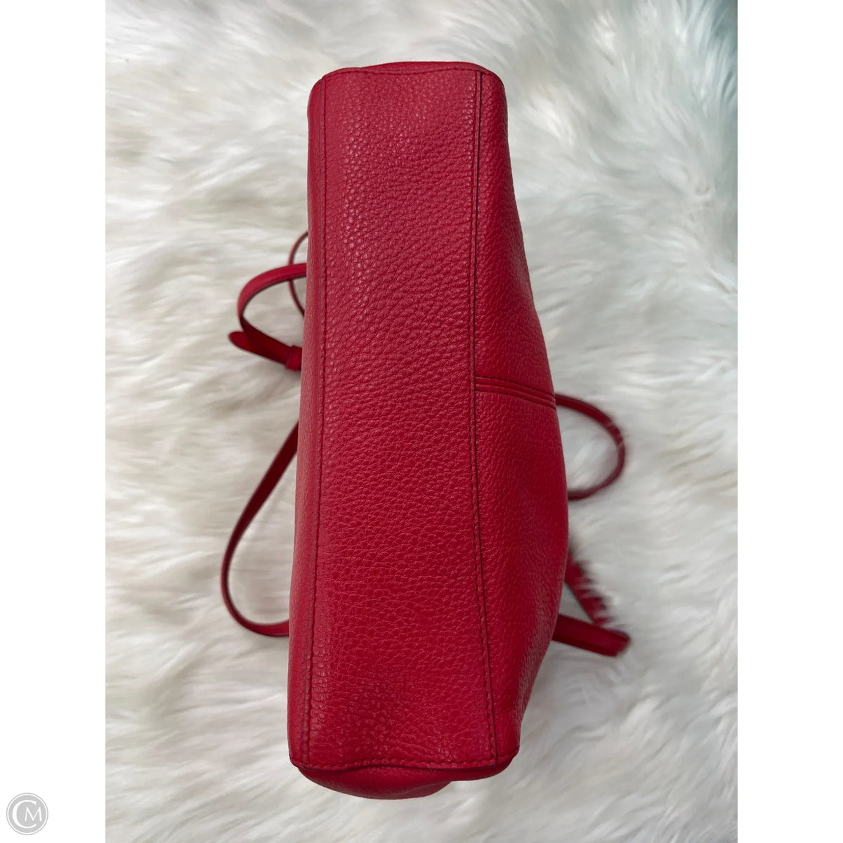 Crossbody Designer By Coach, Size: Small