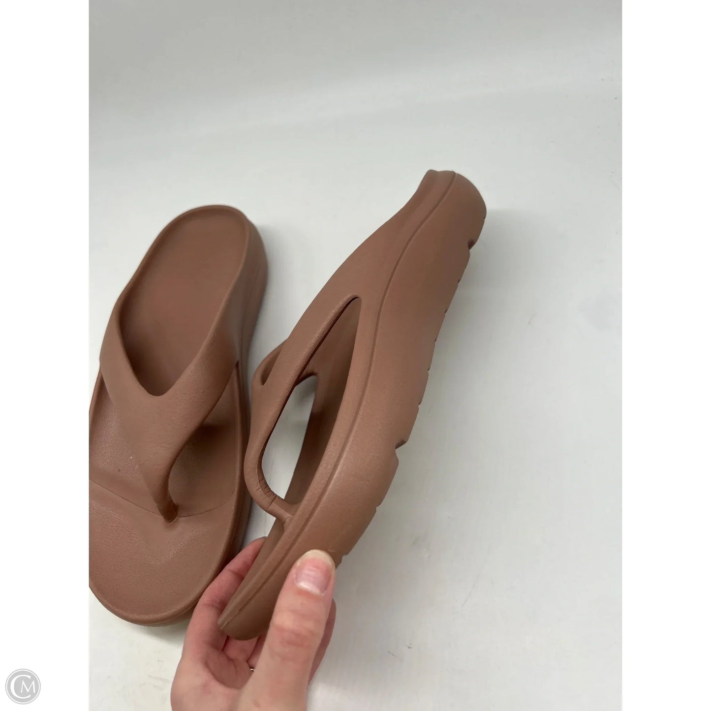 Sandals Flip Flops By Calia In Brown, Size: 11