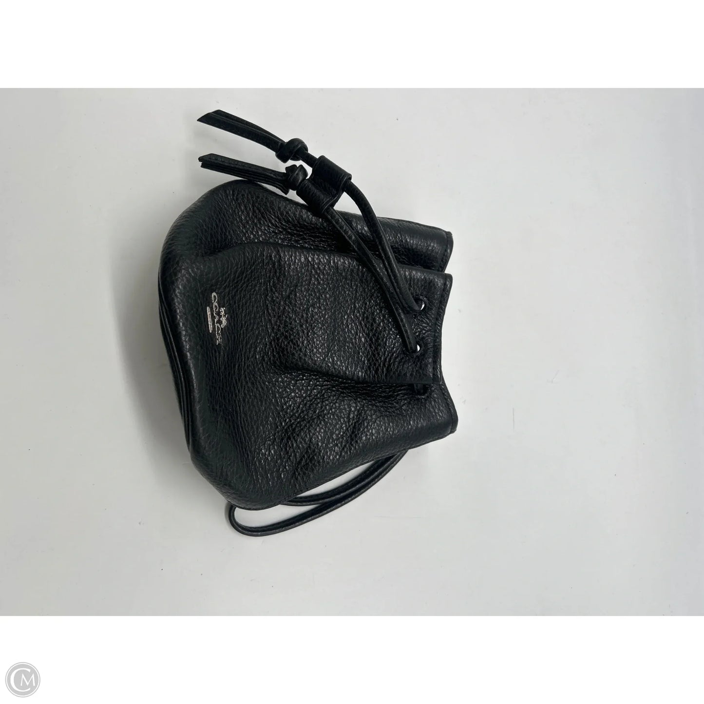 Wristlet Designer By Coach, Size: Large