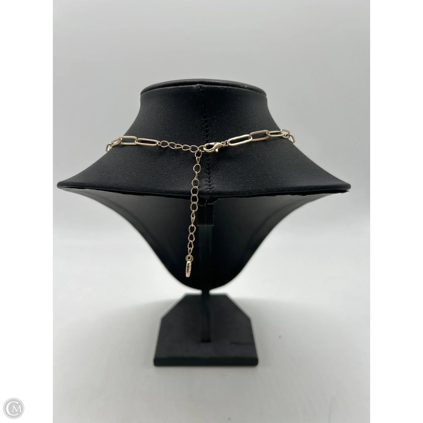 Necklace Chain By Clothes Mentor