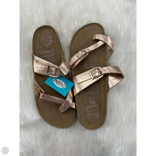 Sandals Flats By Mad Love In Brown, Size: 11
