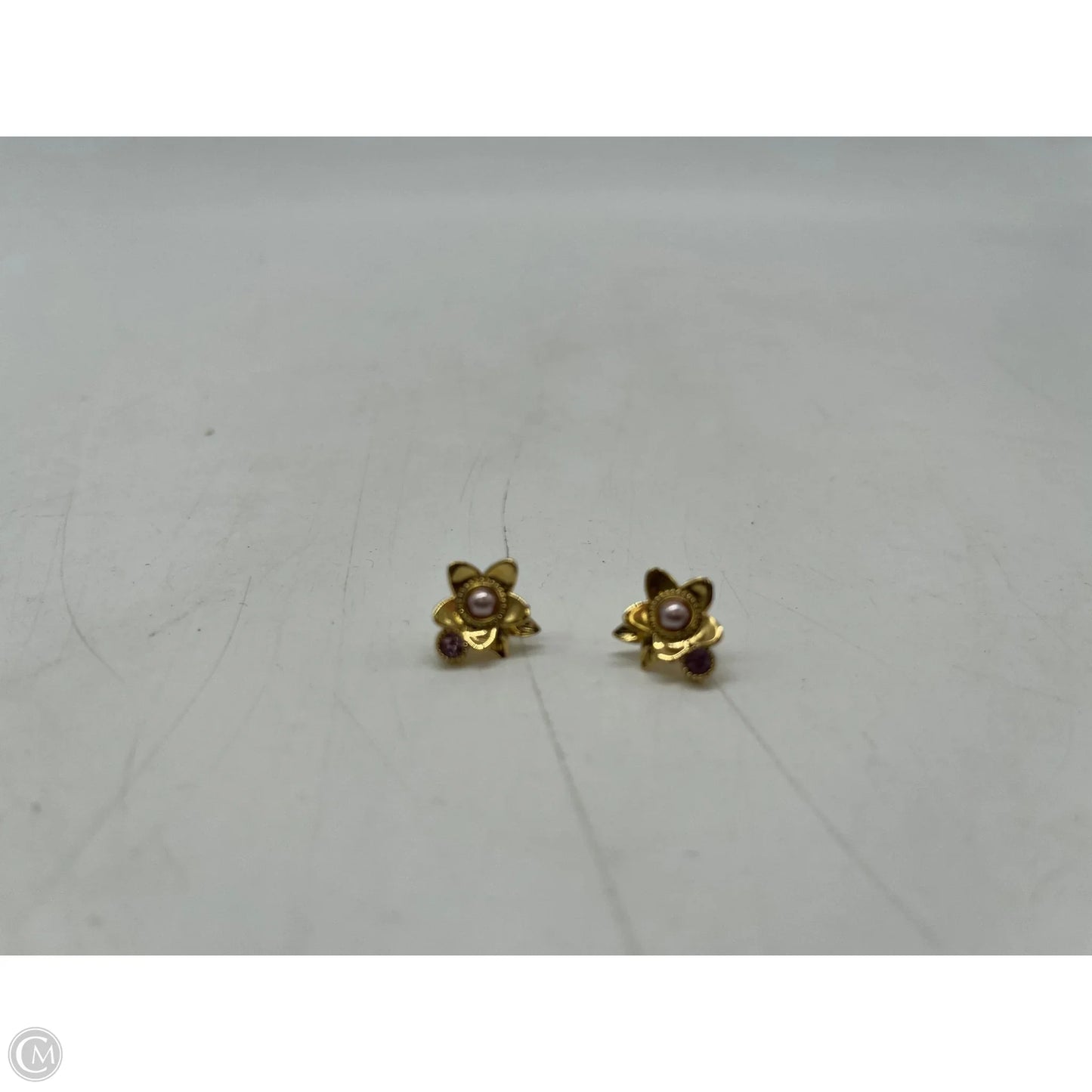 Earrings Designer By Coach