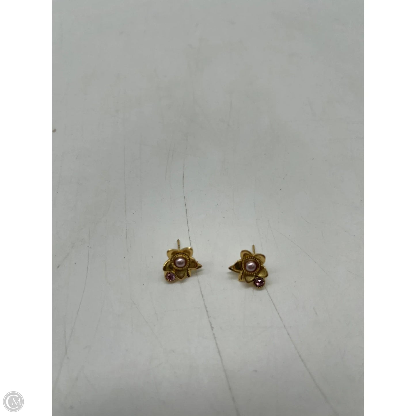 Earrings Designer By Coach