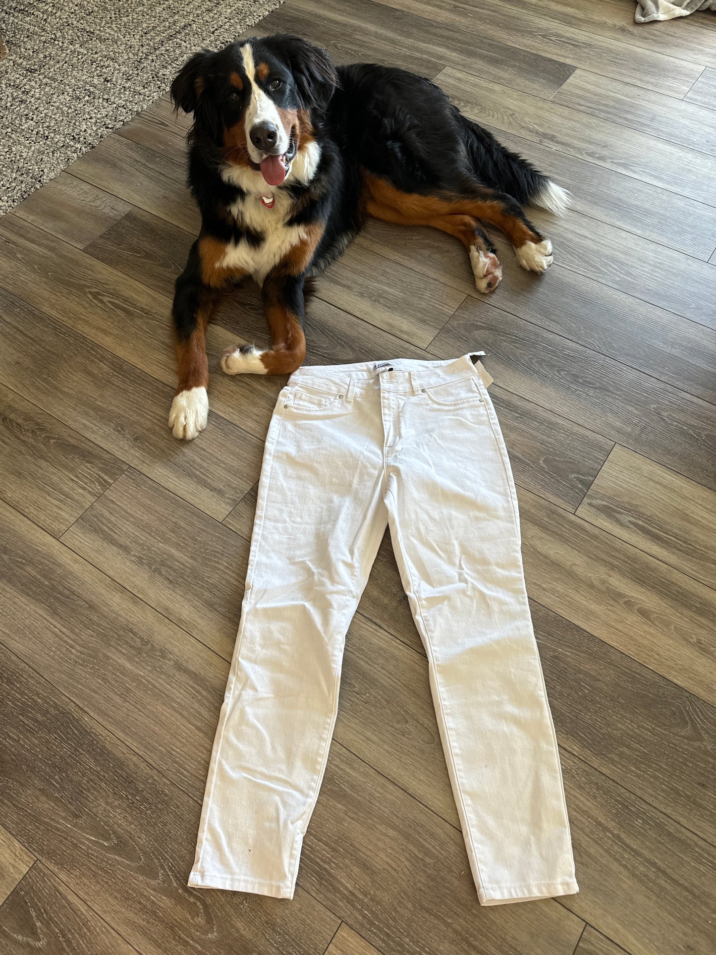 Pants Other By D Jeans In White, Size: 6