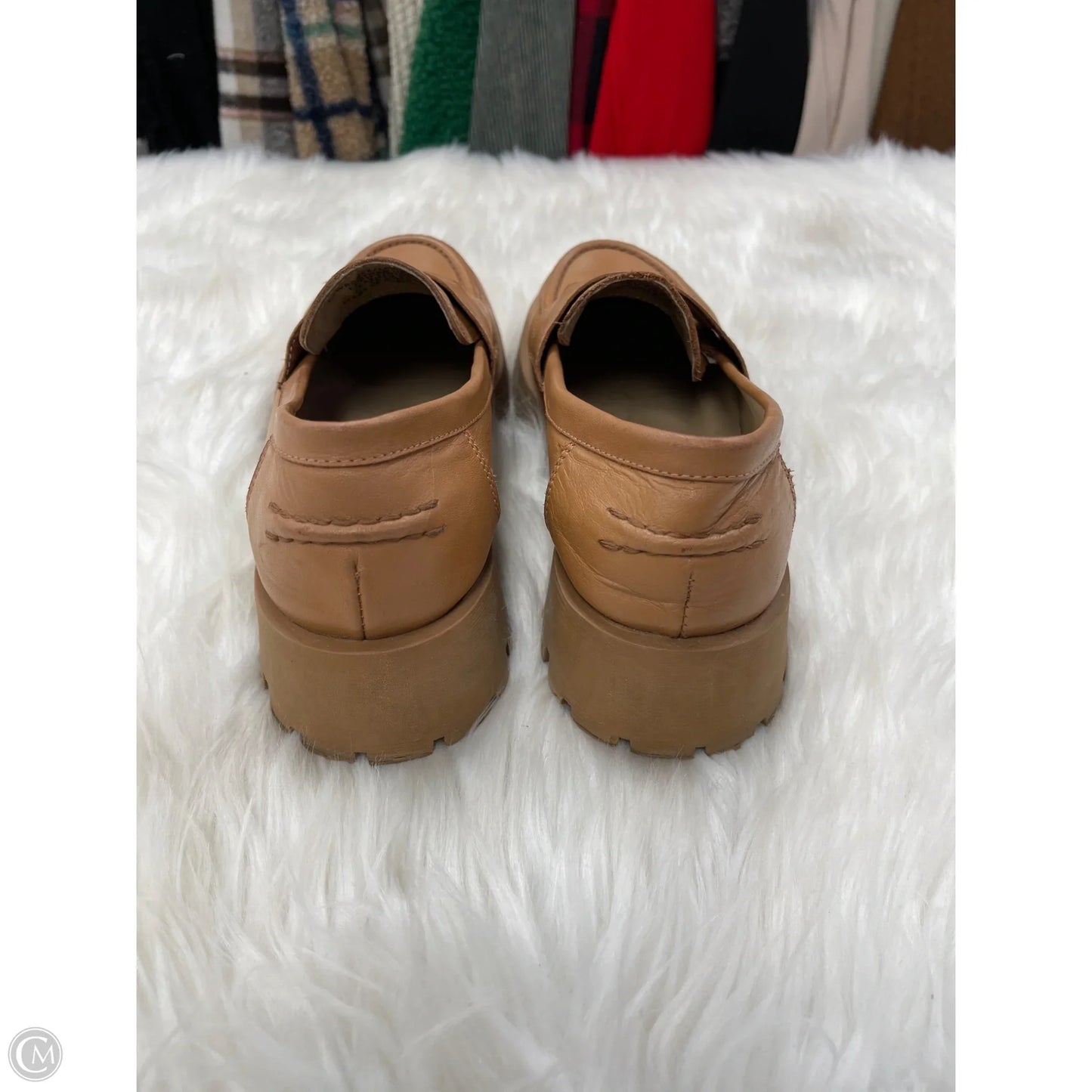 Shoes Flats By Steve Madden In Brown, Size: 9