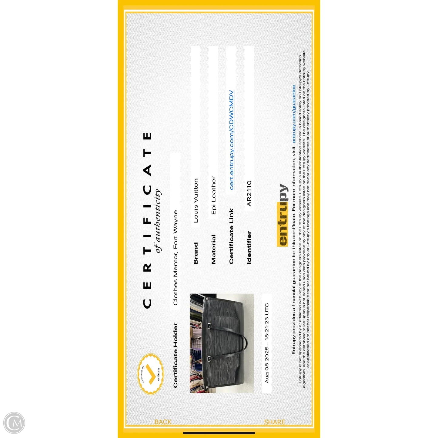 Handbag Luxury Designer By Louis Vuitton, Size: Large