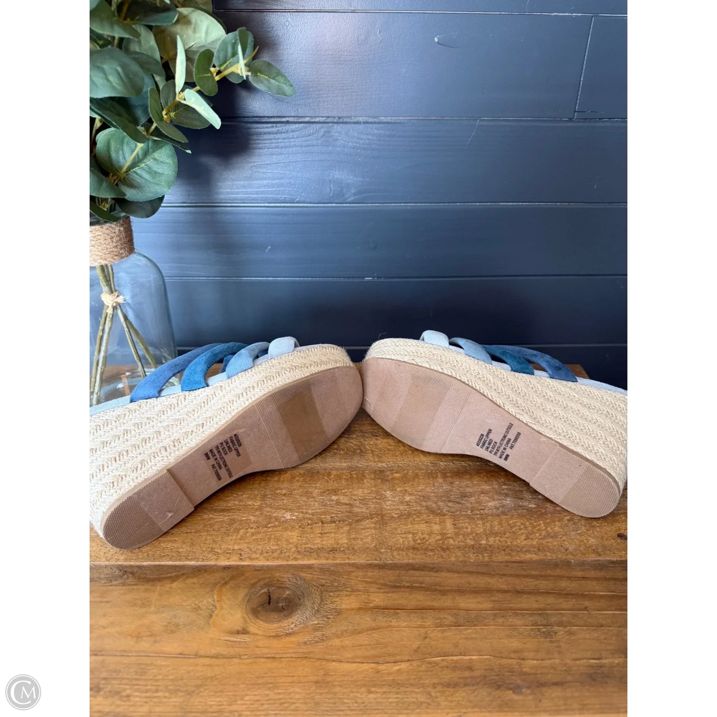 Sandals Heels Wedge By Torrid In Blue, Size: 8