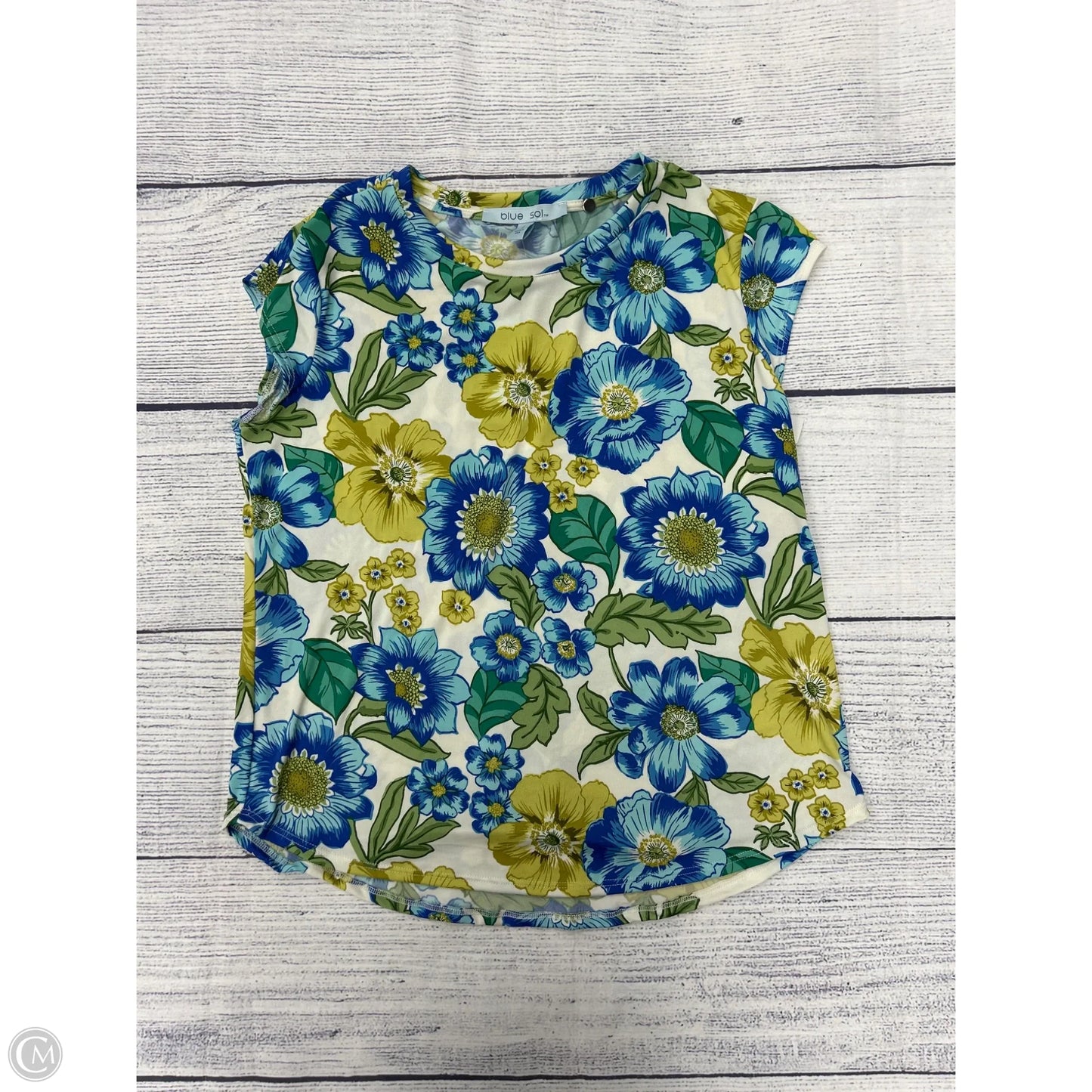 Top Sleeveless By Blue Sol In Blue, Size: L