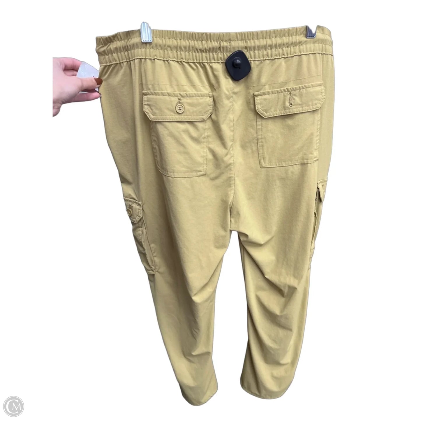 Athletic Pants By Avenue In Green, Size: Xl