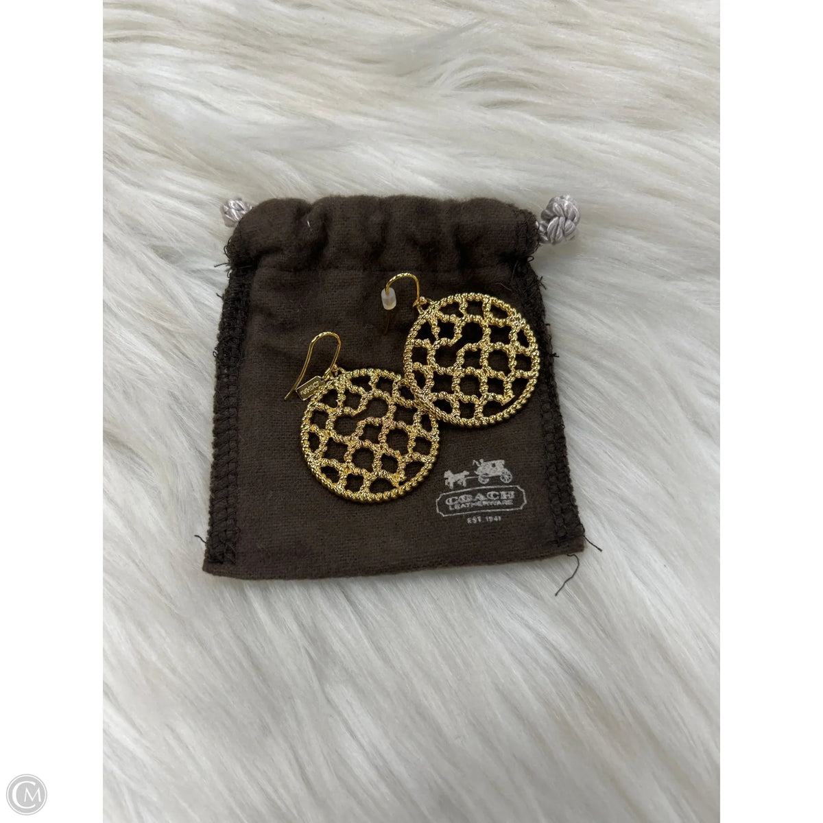 Earrings Designer By Coach