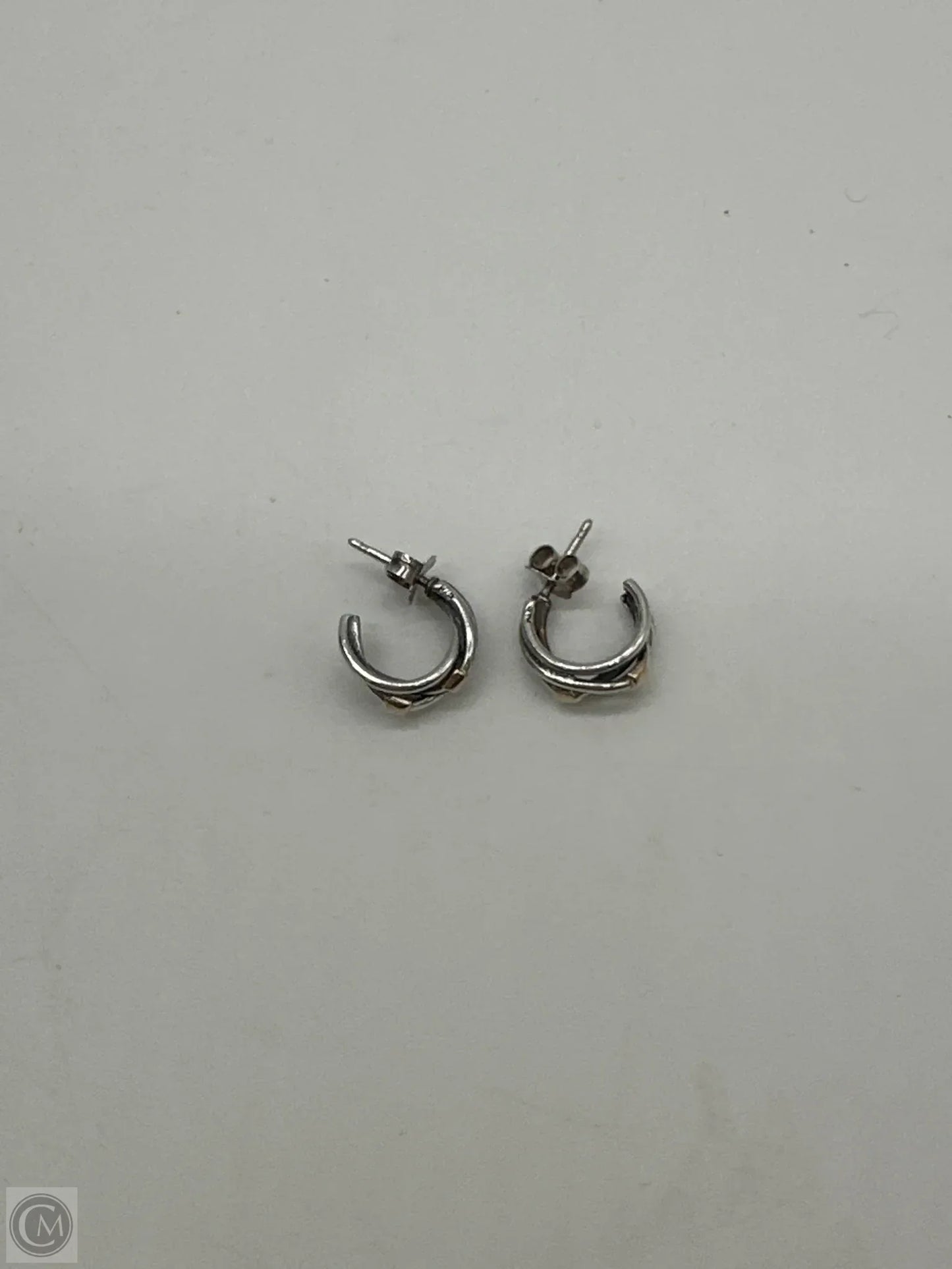 Earrings Hoop By Pandora