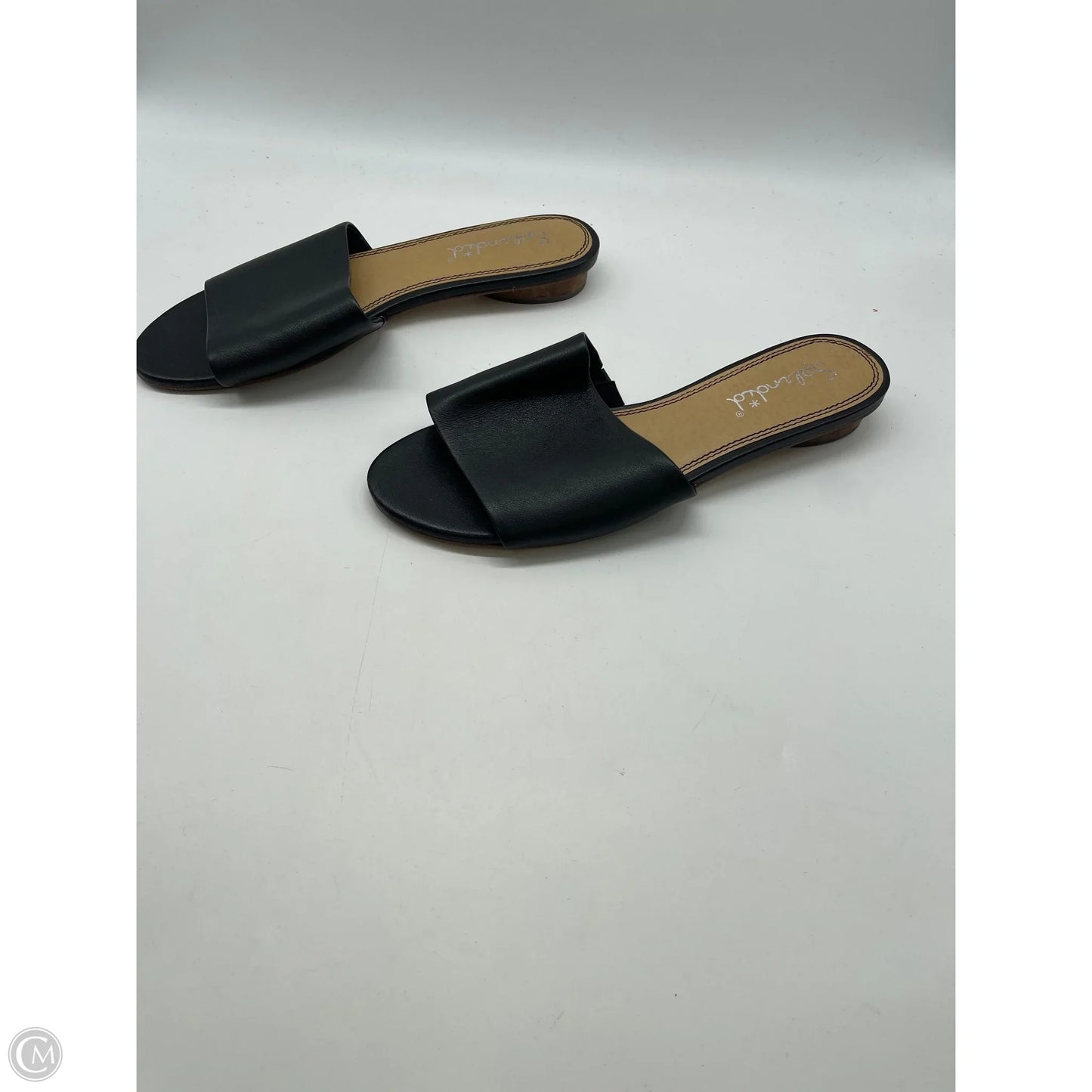 Sandals Flats By Splendid In Black, Size: 10