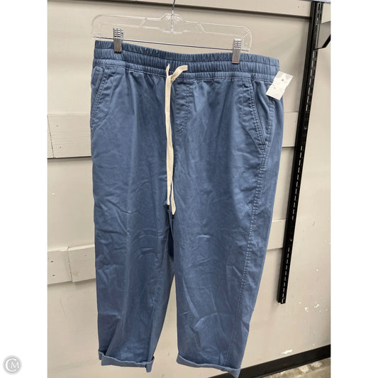 Pants Joggers By Lane Bryant In Blue, Size: 14