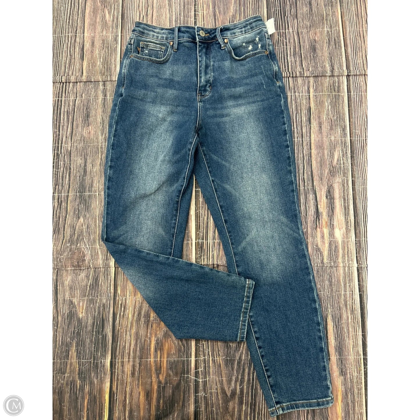 Jeans Skinny By Judy Blue In Blue Denim, Size: 10