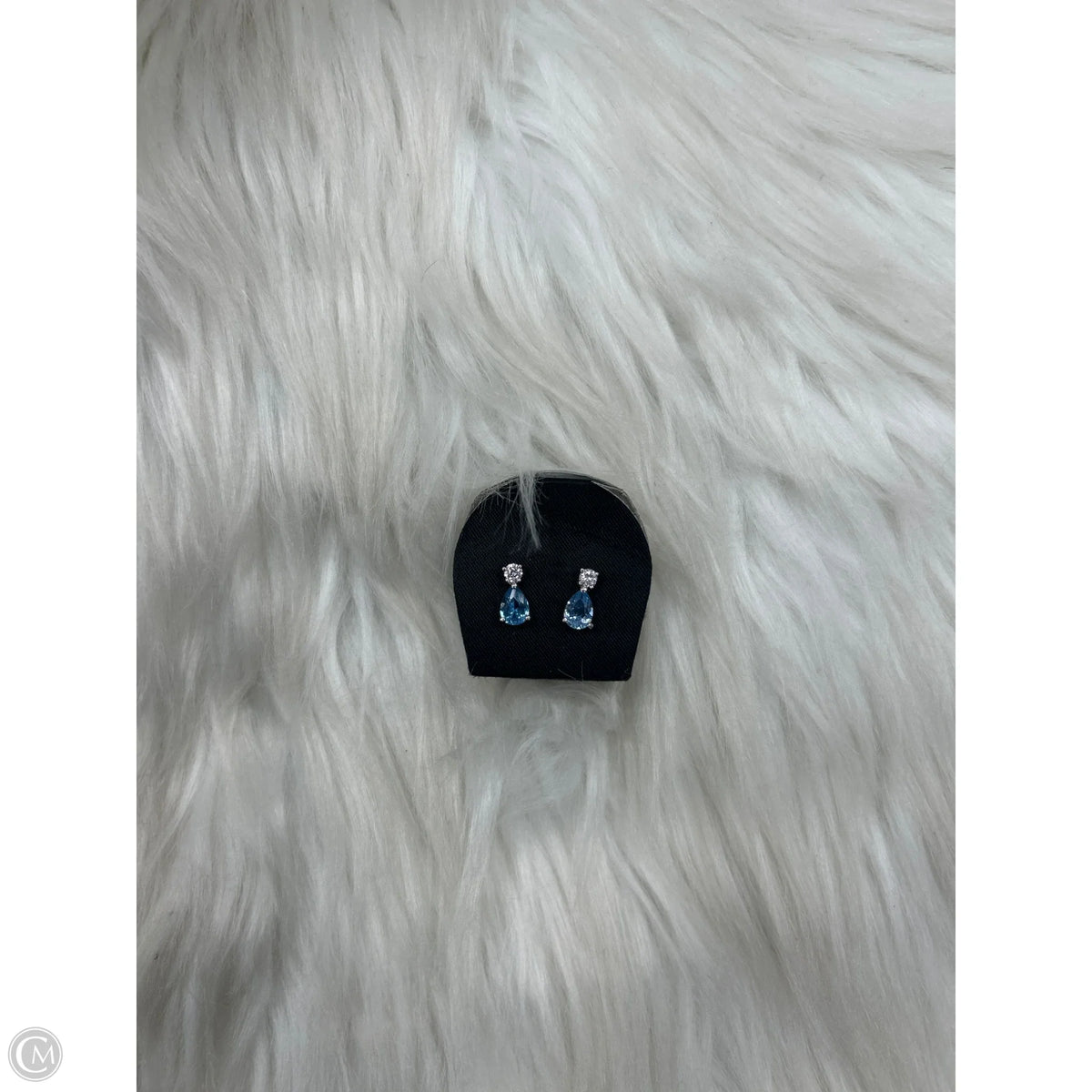 Earrings Dangle/drop By Clothes Mentor