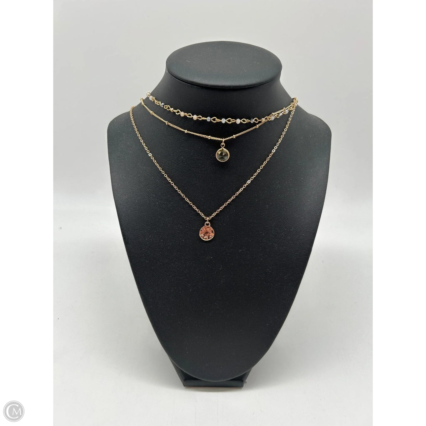 Necklace Layered By Clothes Mentor, Size: 0