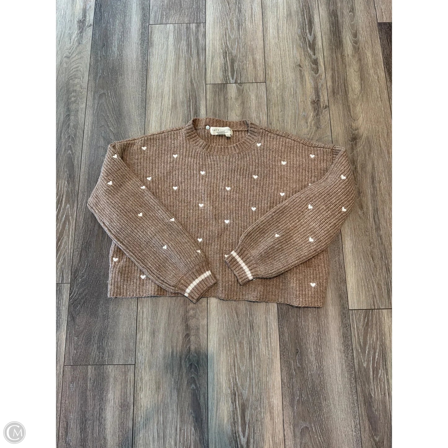 Sweater By Saltwater Luxe In Brown, Size: Xs