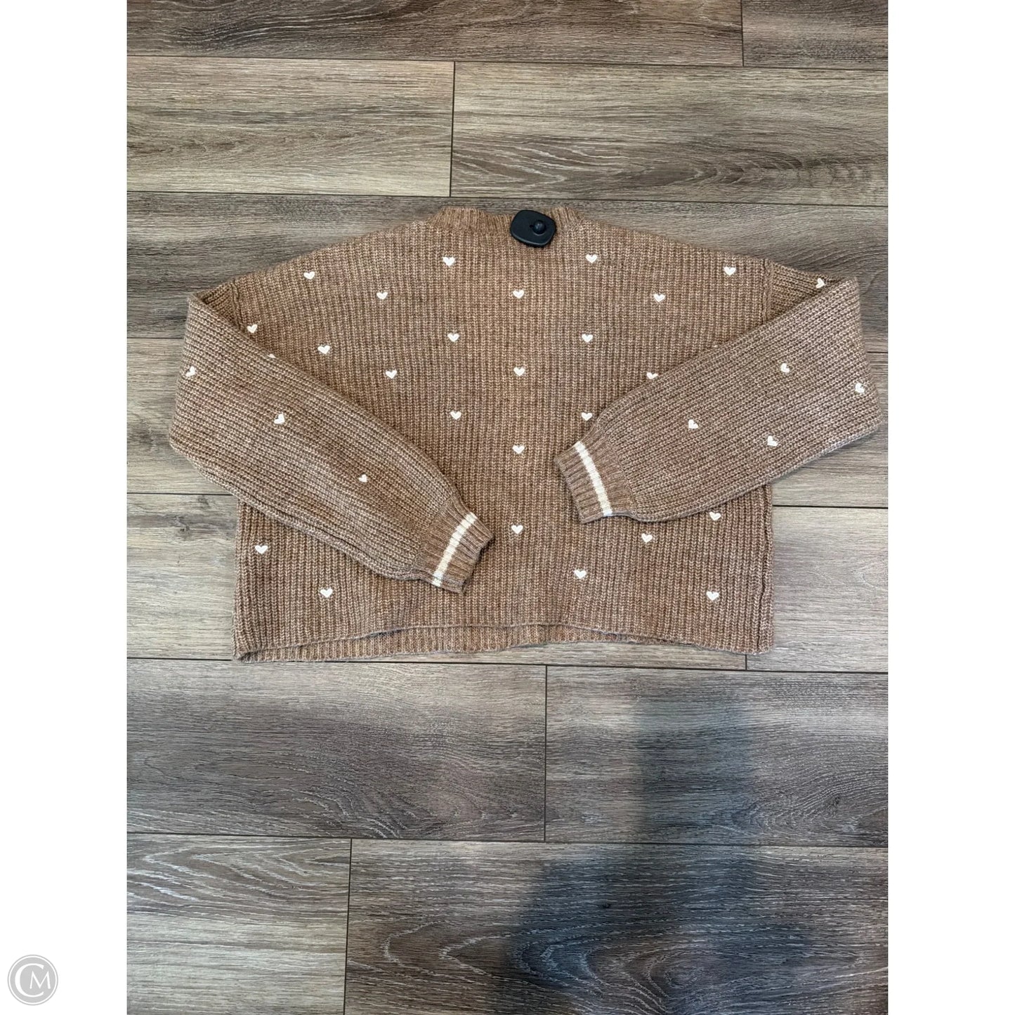 Sweater By Saltwater Luxe In Brown, Size: Xs