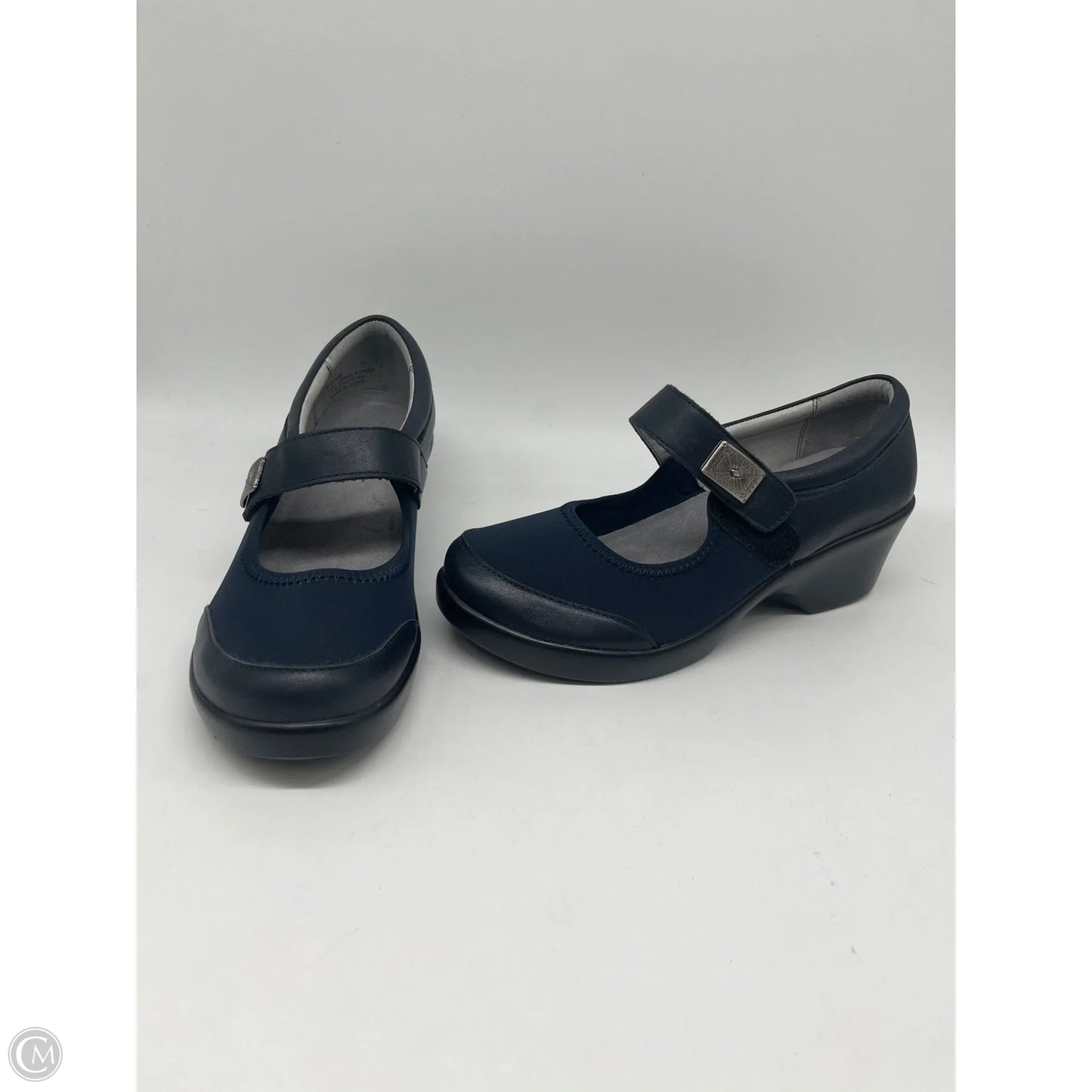 Shoes Heels Wedge By Alegria In Blue, Size: 6.5