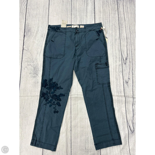 Pants Cargo & Utility By Clothes Mentor In Blue, Size: 12