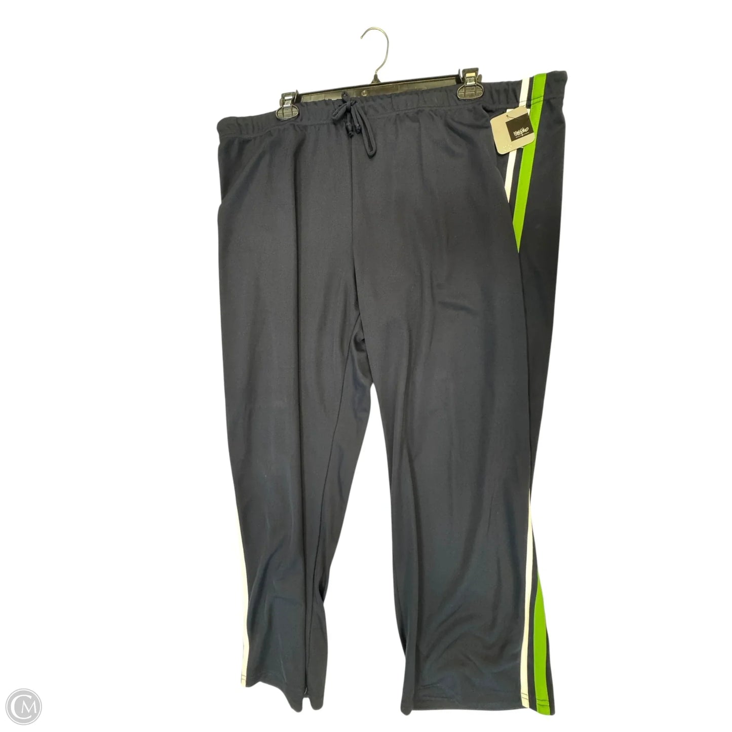 Athletic Pants By Mossimo In Blue & Green, Size: 3x