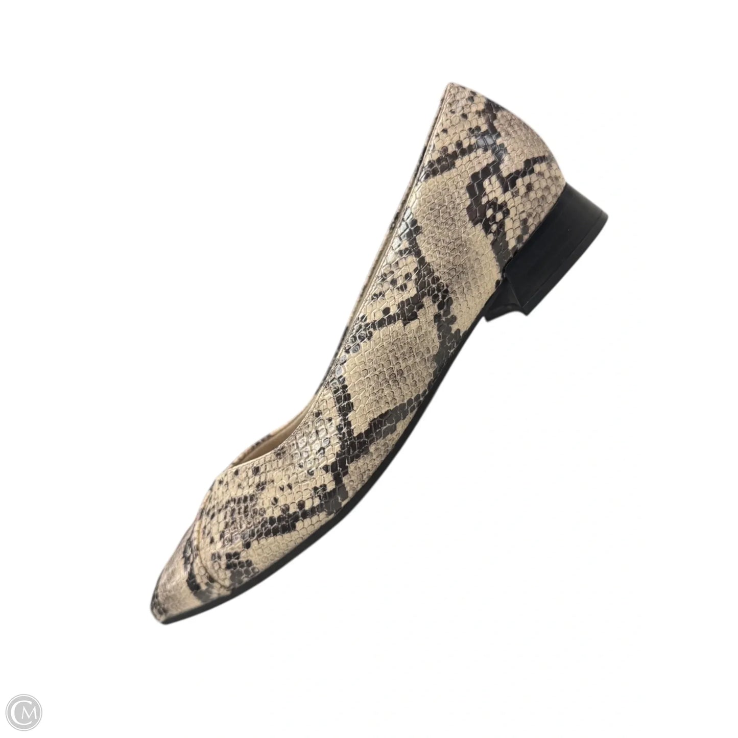 Shoes Flats By Clarks In Animal Print, Size: 8.5