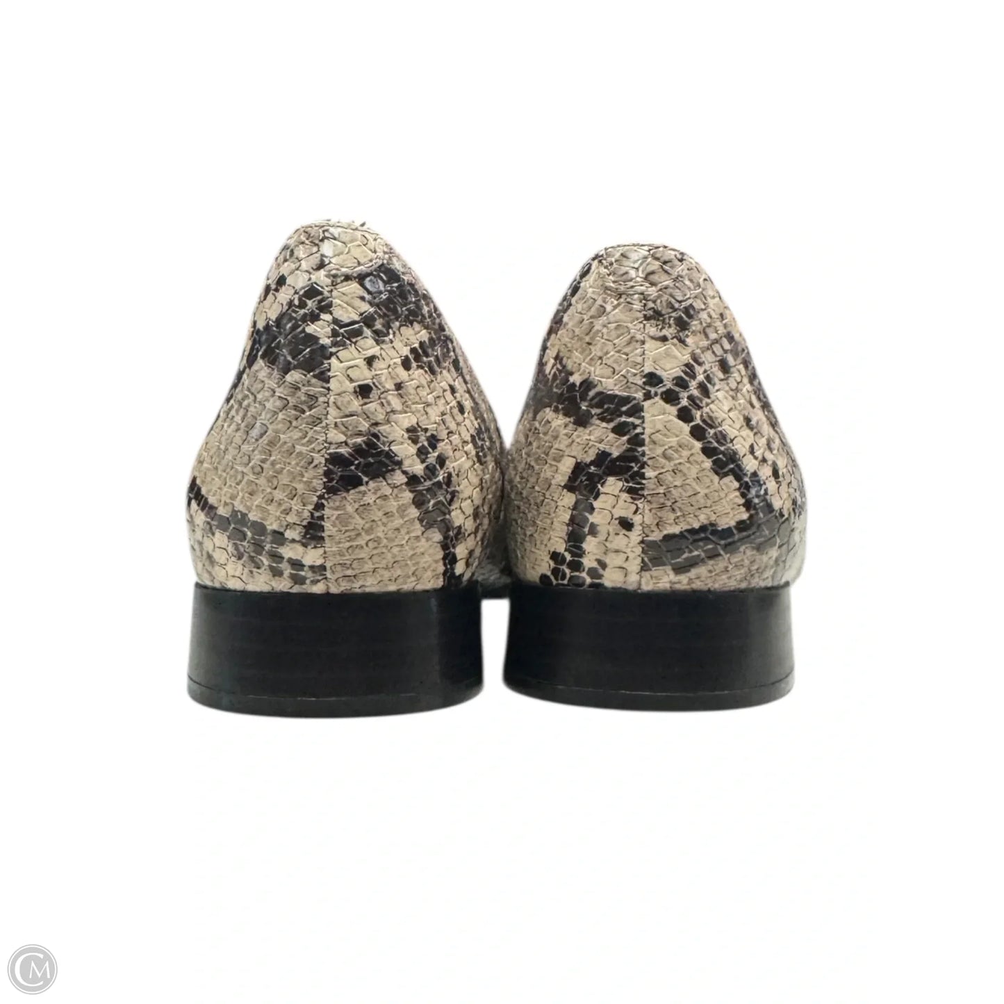 Shoes Flats By Clarks In Animal Print, Size: 8.5