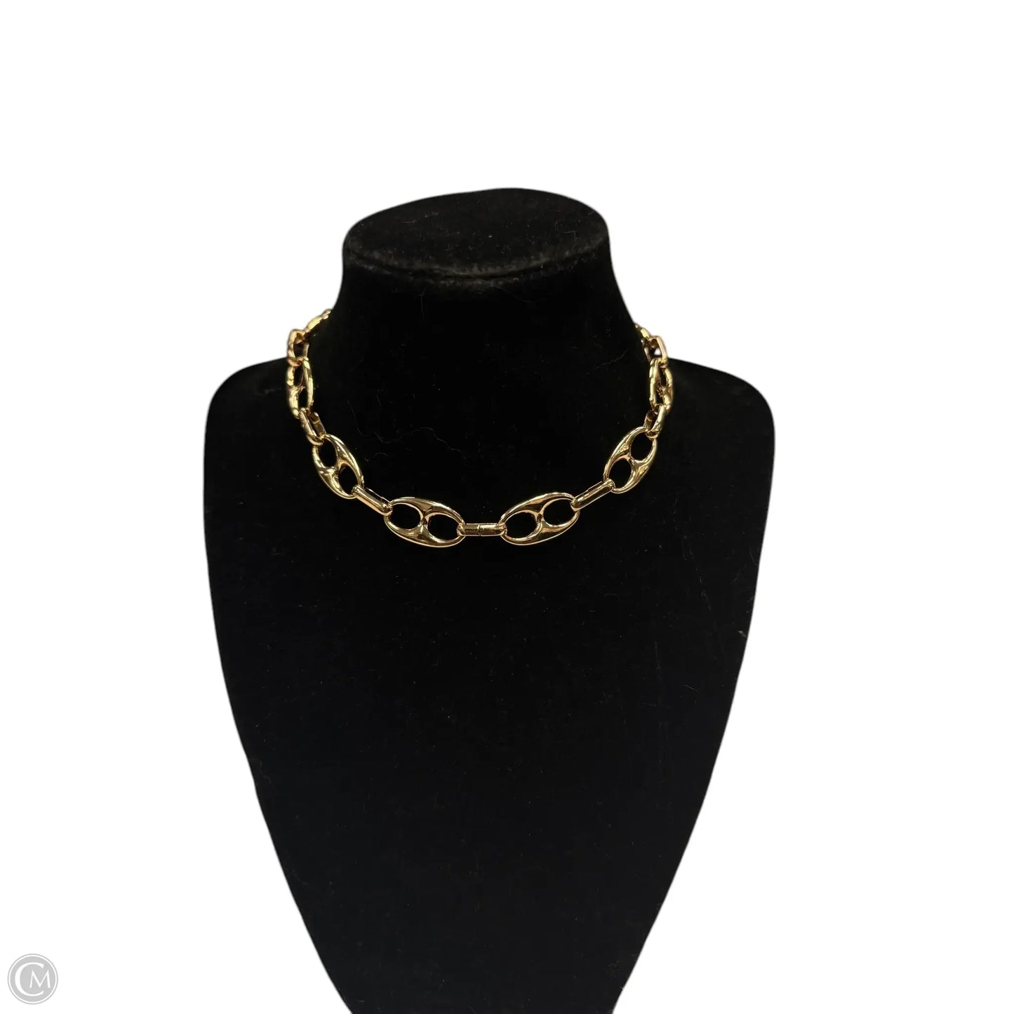 Necklace Chain By Anthropologie