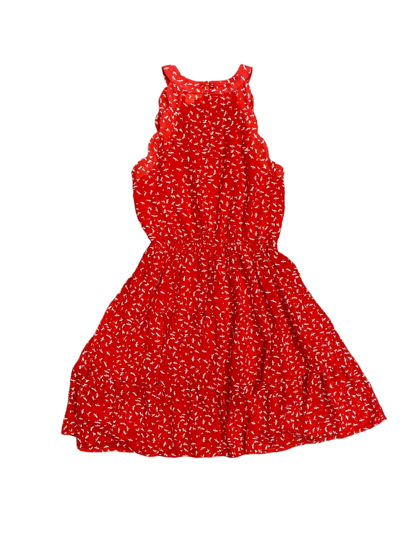 Dress Casual Short By Monteau  Size: 4