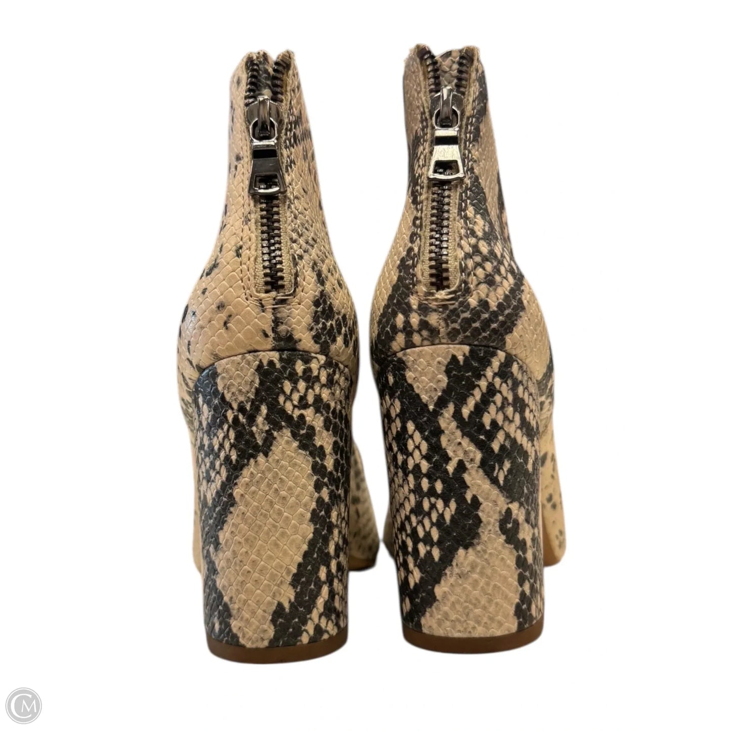 Shoes Heels Block By Steve Madden In Animal Print, Size: 5.5