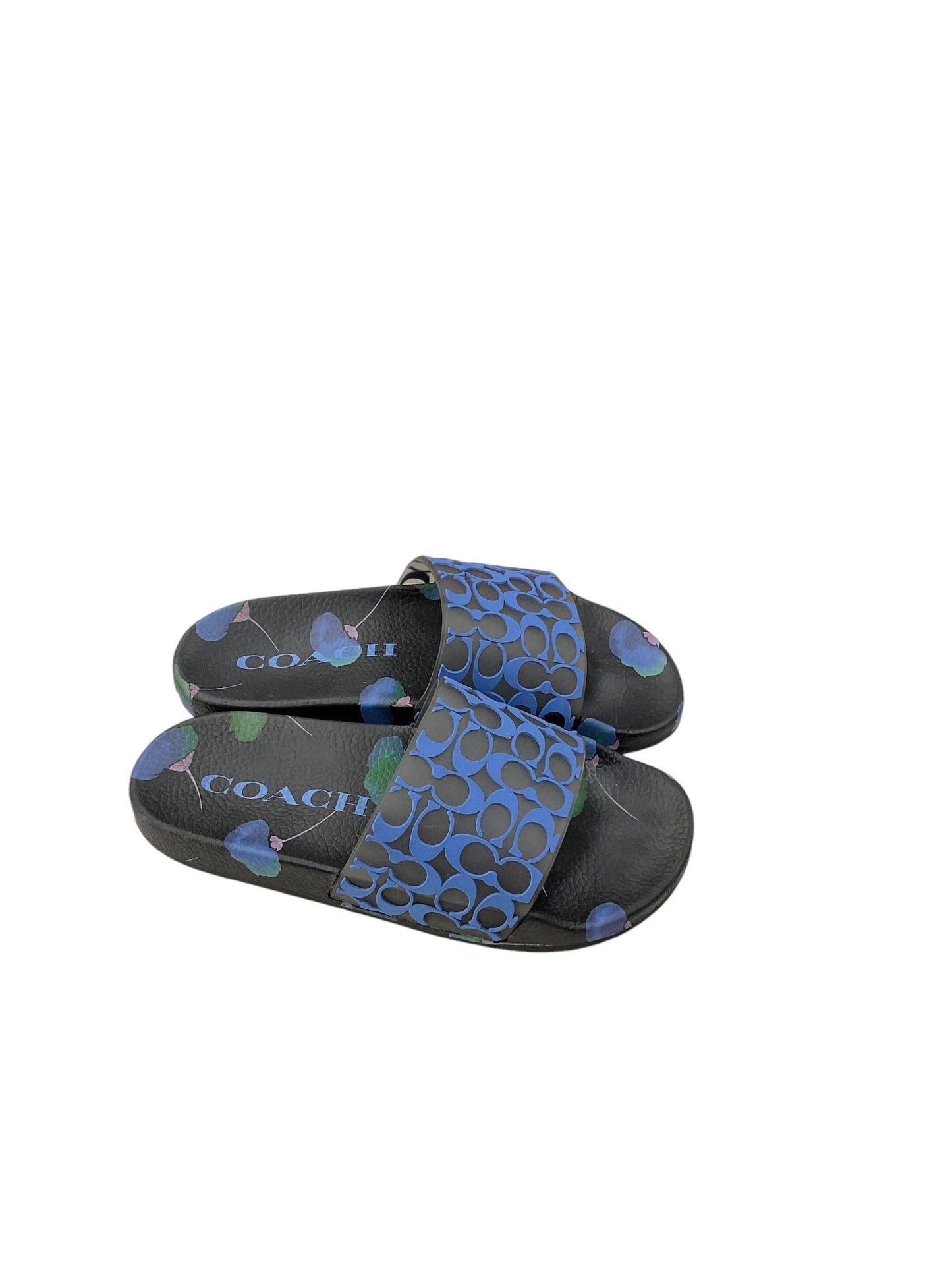 Sandals Designer By Coach In Black & Blue, Size: 7