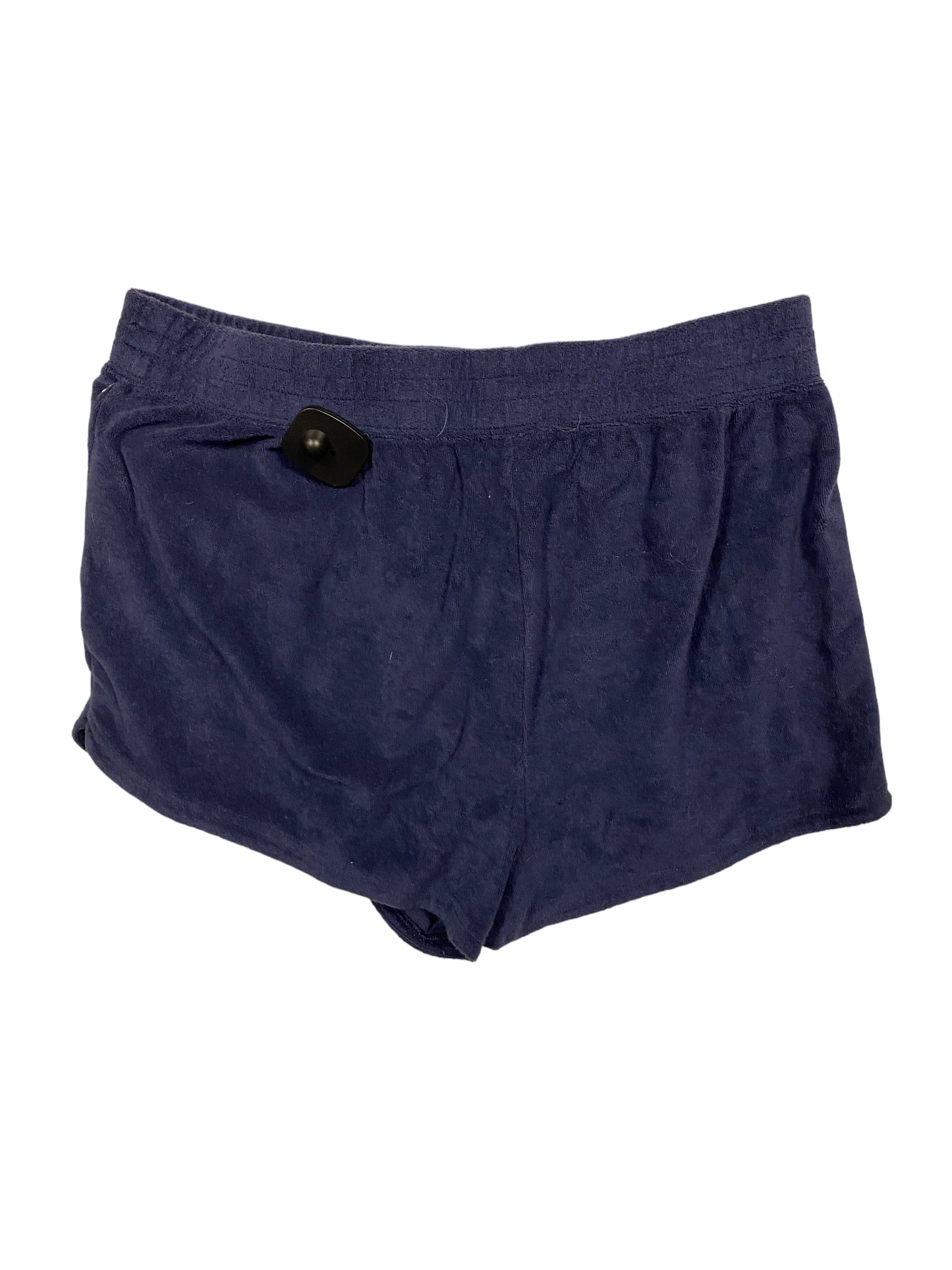 Shorts By Aerie  Size: L