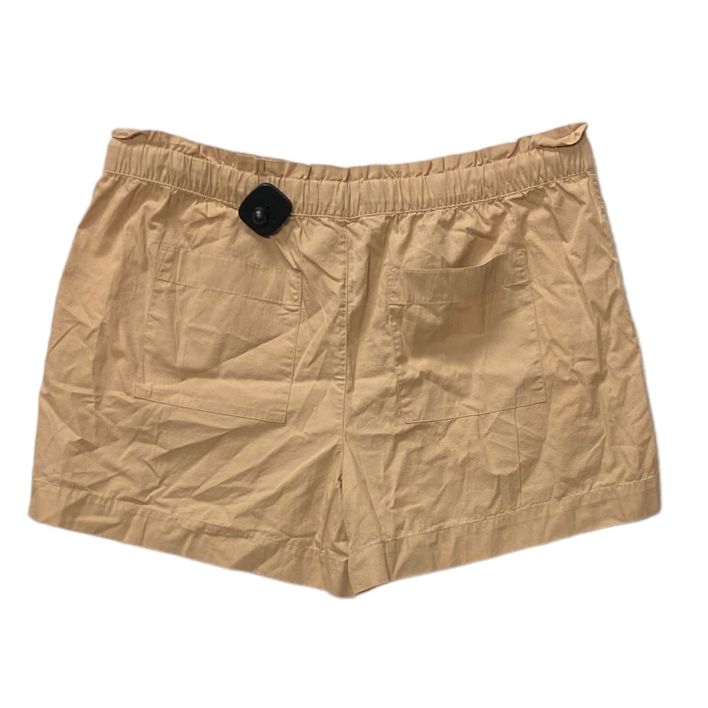 Shorts By Loft  Size: L
