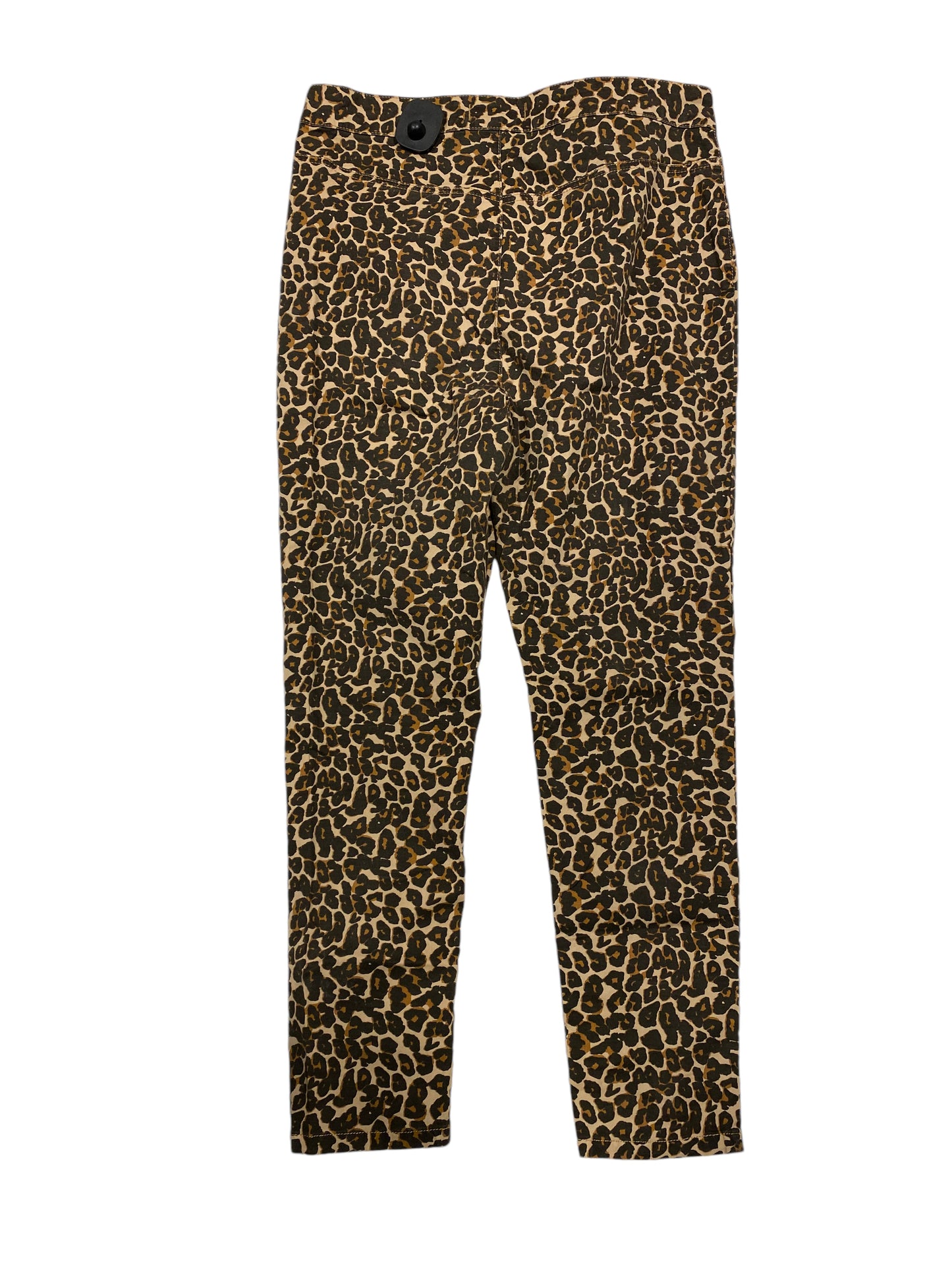 Pants Other By We The Free In Animal Print, Size: 12