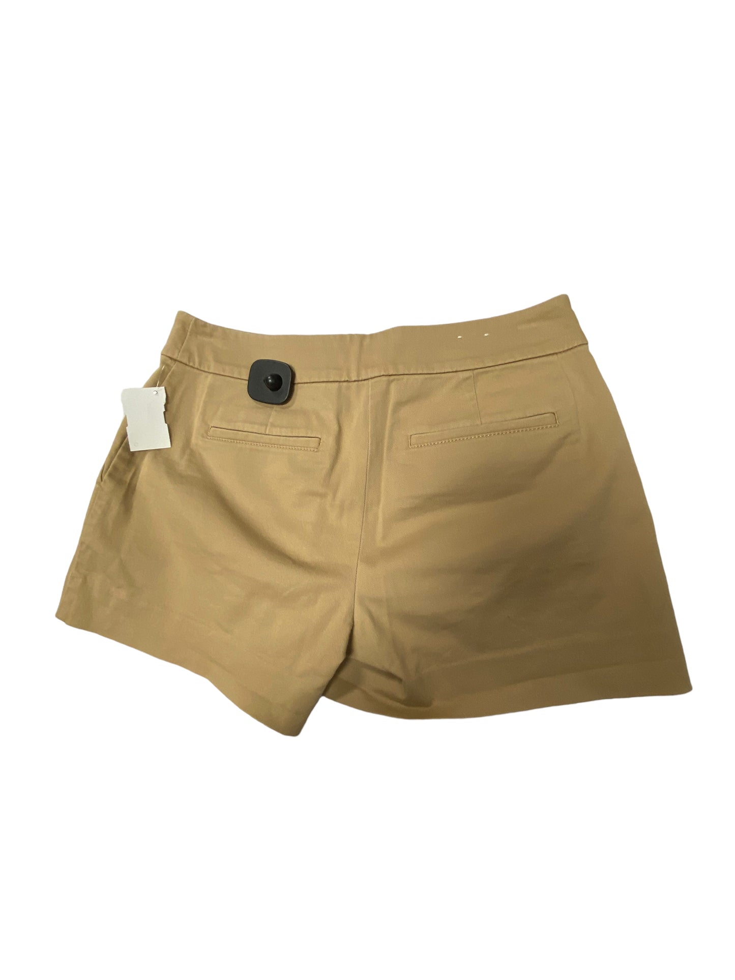 Brown Shorts Loft, Size 0