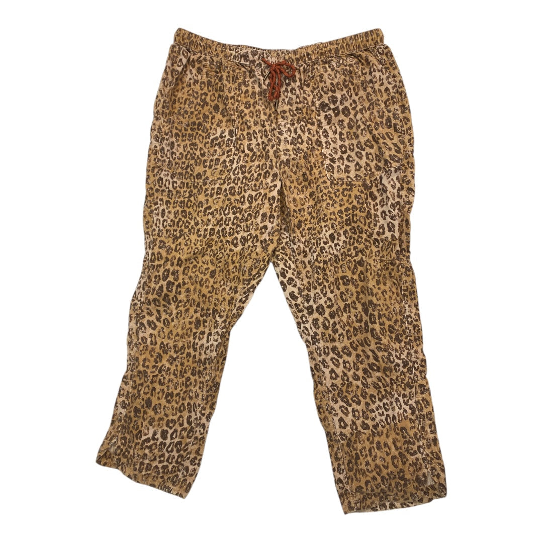 Pants Cargo & Utility By Pilcro In Leopard Print, Size: Xl