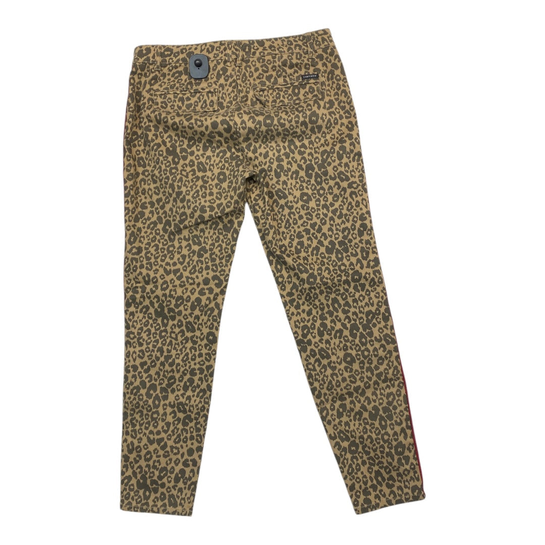 Pants Other By Sanctuary In Leopard Print, Size: 10