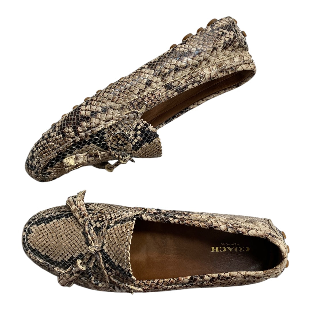 Shoes Designer By Coach In Snakeskin Print, Size: 8.5