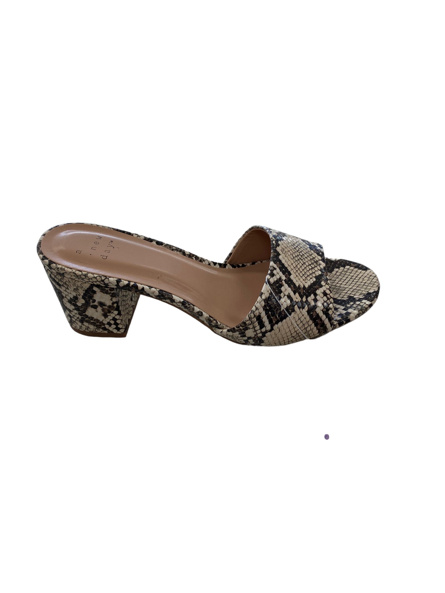 Snakeskin Print Sandals Heels Block A New Day, Size 6.5