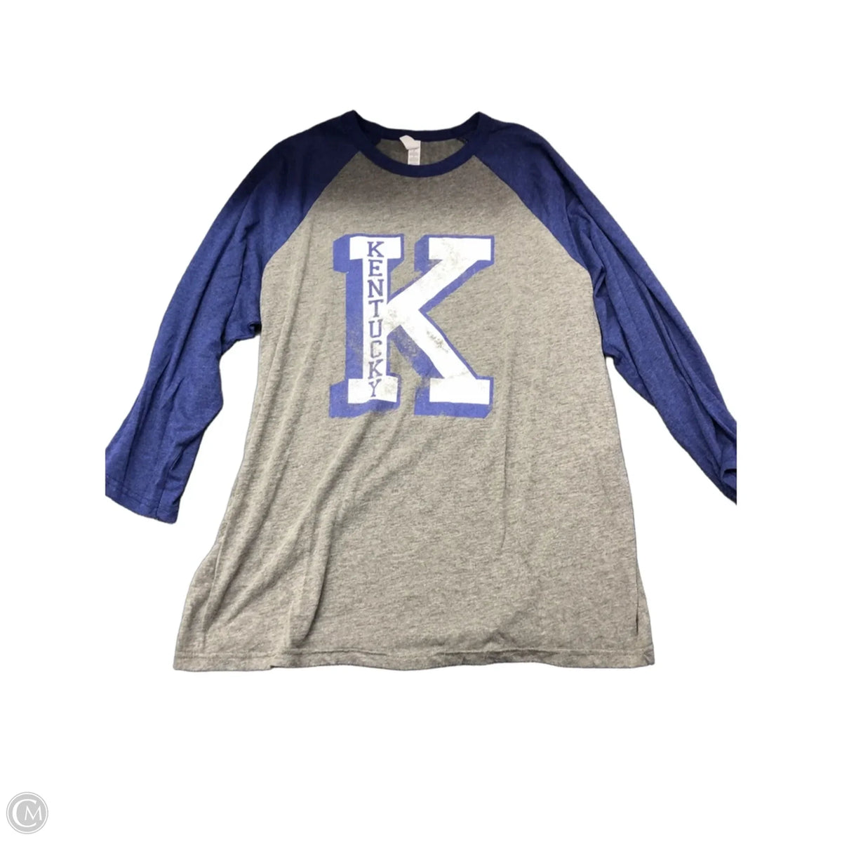 Top Long Sleeve Basic By Canvas In Blue & Grey, Size: L