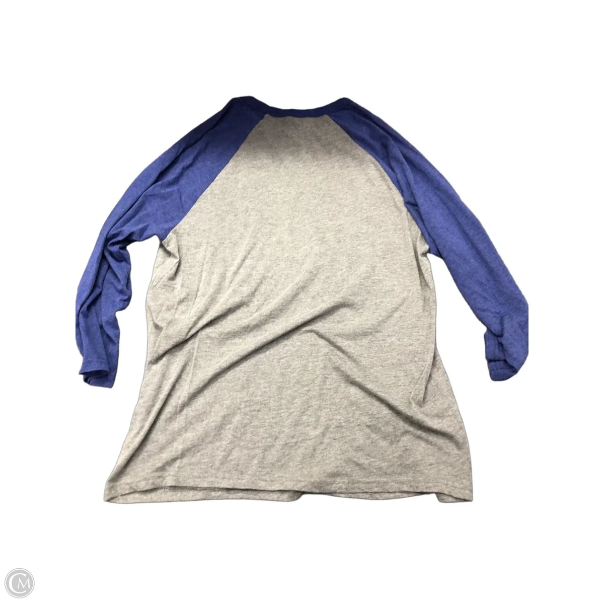 Top Long Sleeve Basic By Canvas In Blue & Grey, Size: L