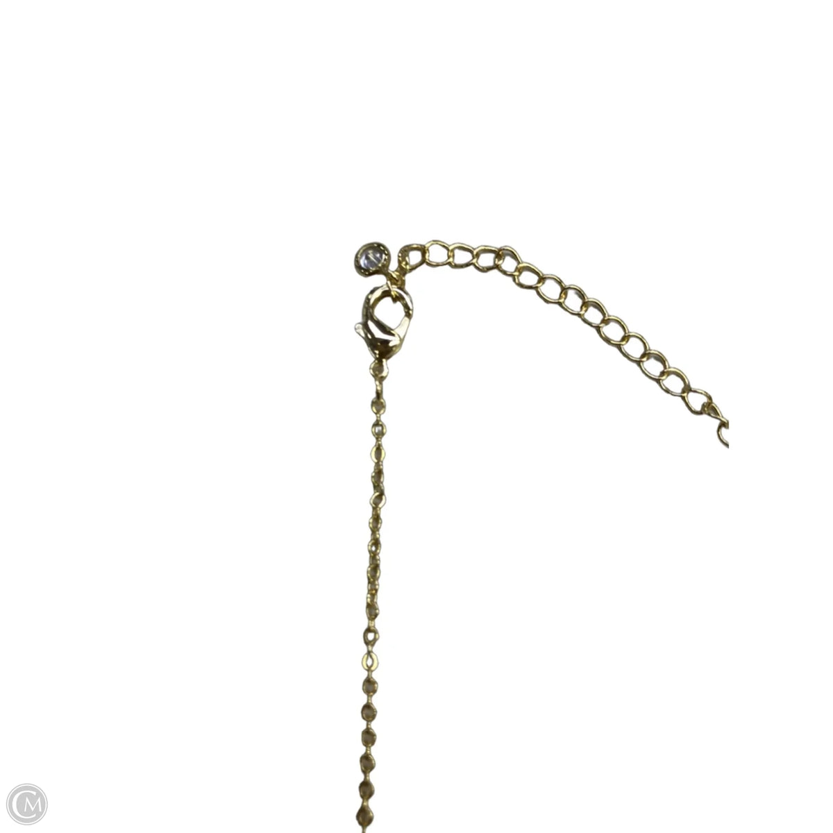 Necklace Chain By Clothes Mentor