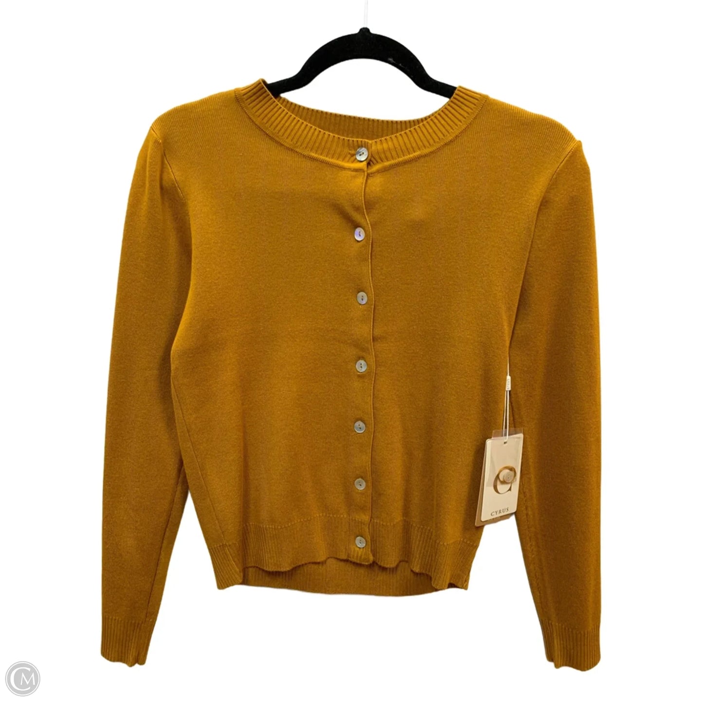 Sweater By Cyrus In Tan, Size: Xs