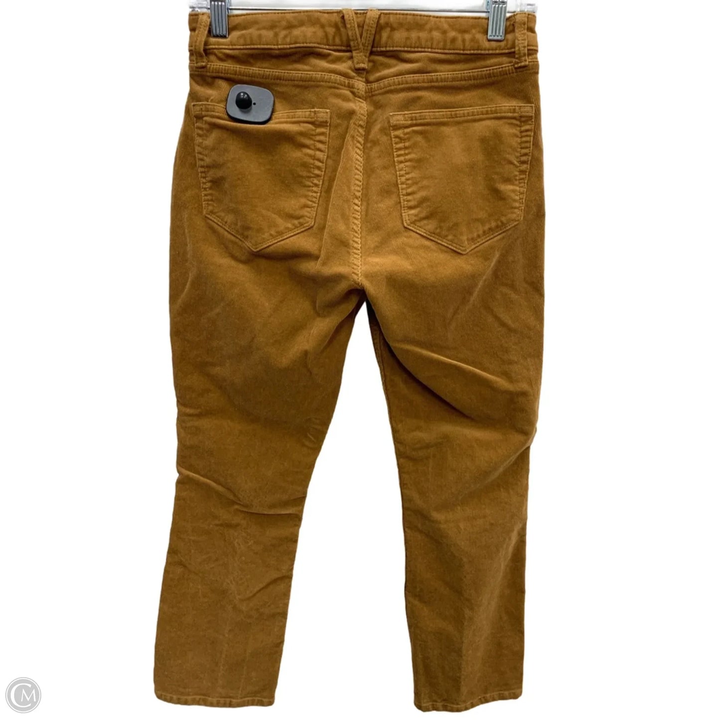Pants Corduroy By Vineyard Vines In Brown, Size: 4