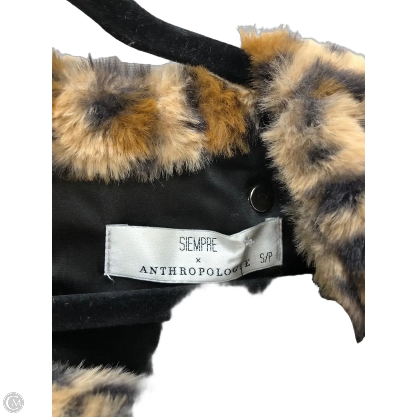 Dress Casual Midi By Anthropologie In Animal Print, Size: S