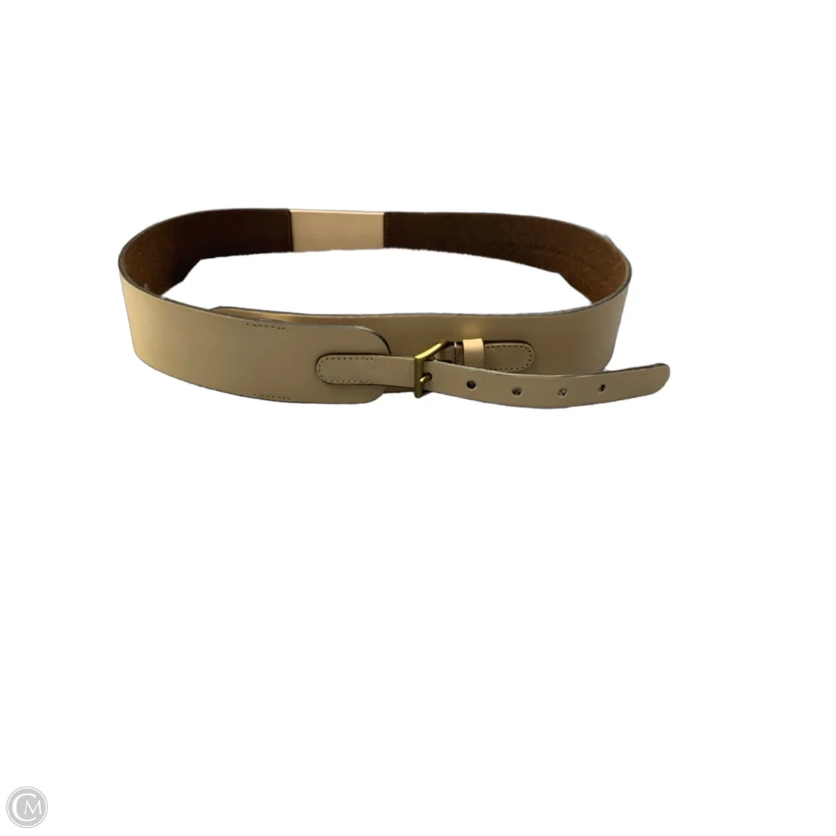 Belt By Loft, Size: Xlarge